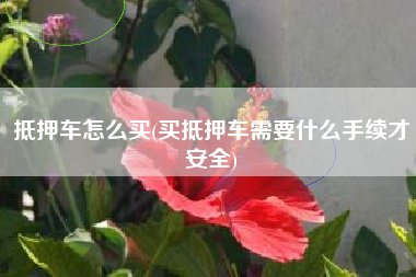 抵押车怎么买(买抵押车需要什么手续才安全)