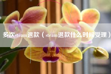 多次steam退款（steam退款什么时候受理）