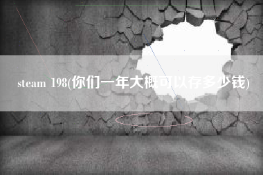 steam 198(你们一年大概可以存多少钱)