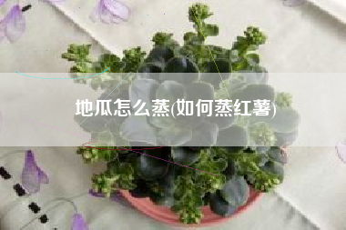 地瓜怎么蒸(如何蒸红薯)