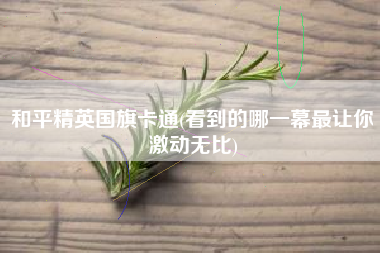 和平精英国旗卡通(看到的哪一幕最让你激动无比)