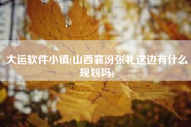 大运软件小镇(山西襄汾张礼这边有什么规划吗)