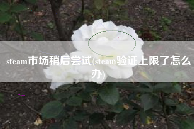 steam市场稍后尝试(steam验证上限了怎么办)