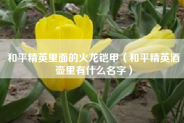 和平精英里面的火龙铠甲（和平精英酒壶里有什么名字）