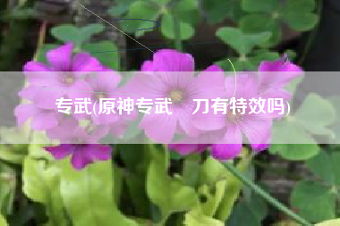 专武(原神专武薙刀有特效吗)