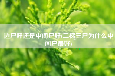 边户好还是中间户好(二梯三户为什么中间户最好)