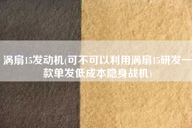 涡扇15发动机(可不可以利用涡扇15研发一款单发低成本隐身战机)