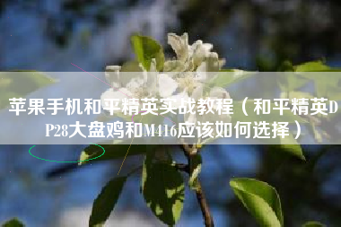 苹果手机和平精英实战教程（和平精英DP28大盘鸡和M416应该如何选择）