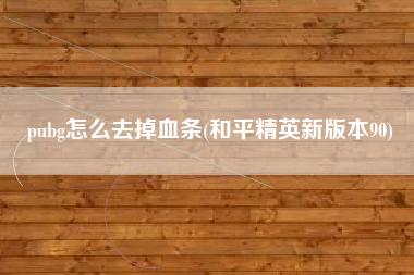 pubg怎么去掉血条(和平精英新版本90)