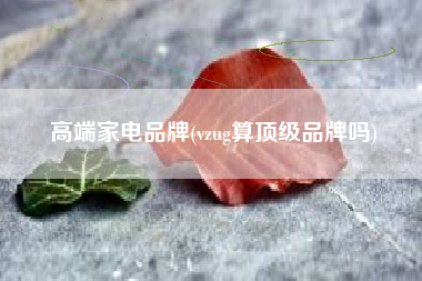 高端家电品牌(vzug算顶级品牌吗)