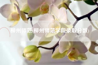 柳州师范(柳州师范学院录取分数)