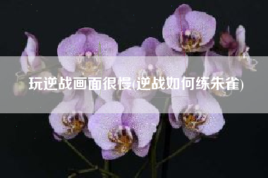 玩逆战画面很慢(逆战如何练朱雀)