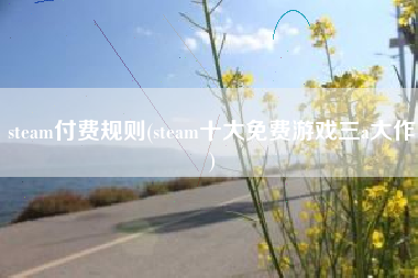 steam付费规则(steam十大免费游戏三a大作)