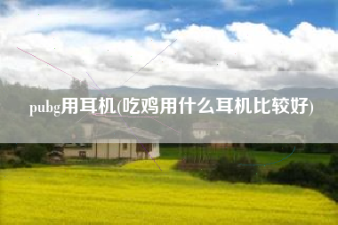 pubg用耳机(吃鸡用什么耳机比较好)