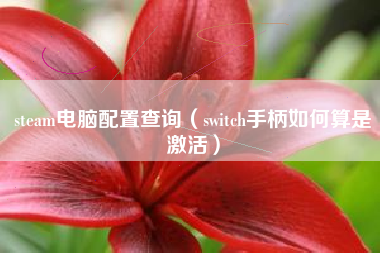 steam电脑配置查询（switch手柄如何算是激活）