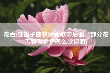 花舌(在笛子曲牧民新歌中后面一部分花舌和飞指是怎么吹得啊)