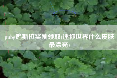 pubg鸡斯拉奖励领取(迷你世界什么皮肤最漂亮)