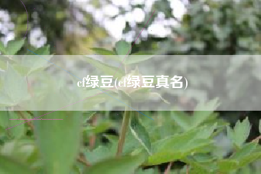 cf绿豆(cf绿豆真名)