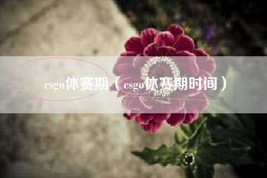 csgo休赛期（csgo休赛期时间）