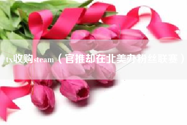 tx收购steam（官推却在北美办粉丝联赛）