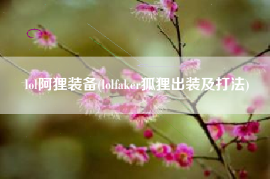 lol阿狸装备(lolfaker狐狸出装及打法)