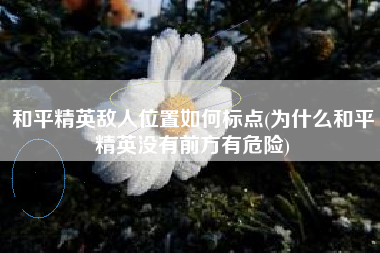 和平精英敌人位置如何标点(为什么和平精英没有前方有危险)