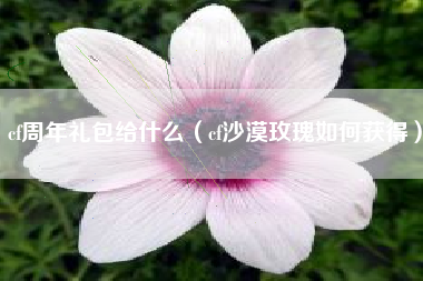 cf周年礼包给什么（cf沙漠玫瑰如何获得）