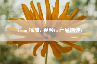 steam 播放vr视频(vr产品描述)