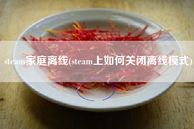 steam家庭离线(steam上如何关闭离线模式)