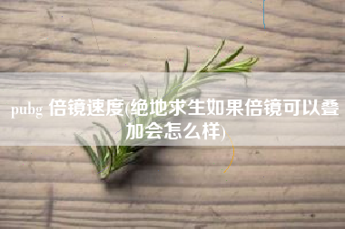 pubg 倍镜速度(绝地求生如果倍镜可以叠加会怎么样)