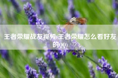 王者荣耀战友视频(王者荣耀怎么看好友的QQ)