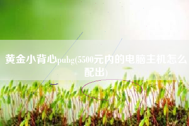 黄金小背心pubg(5500元内的电脑主机怎么配出)