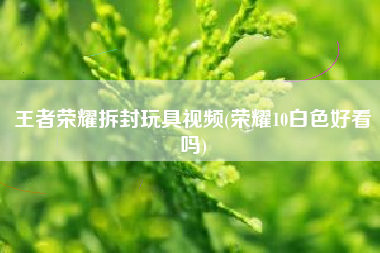 王者荣耀拆封玩具视频(荣耀10白色好看吗)