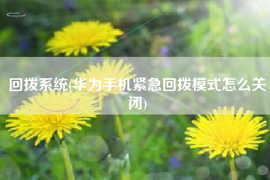 回拨系统(华为手机紧急回拨模式怎么关闭)