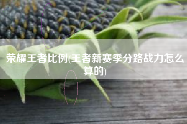 荣耀王者比例(王者新赛季分路战力怎么算的)