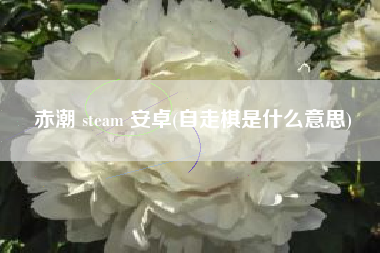 赤潮 steam 安卓(自走棋是什么意思)