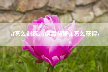 cf怎么训练ak(焕青花瓷ak怎么获得)