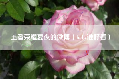 王者荣耀夏夜的微博（baby谁好看）