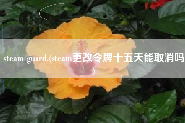 steam guard.(steam更改令牌十五天能取消吗)