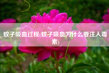 蚊子吸血过程(蚊子吸血为什么要注入毒素)