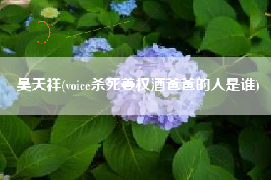 吴天祥(voice杀死姜权酒爸爸的人是谁)