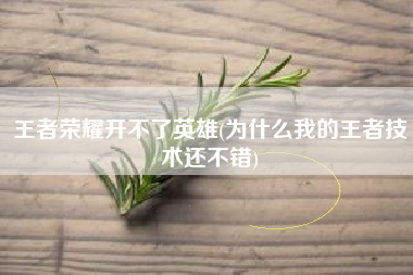 王者荣耀开不了英雄(为什么我的王者技术还不错)