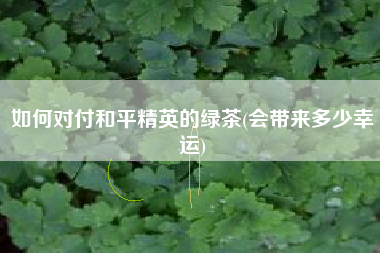 如何对付和平精英的绿茶(会带来多少幸运)