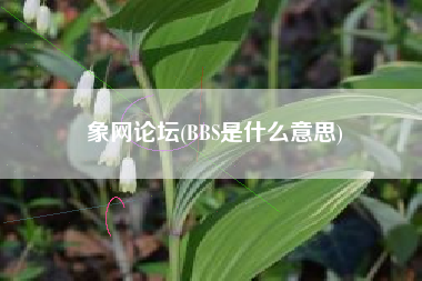 象网论坛(BBS是什么意思)