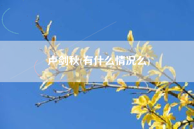 卢剑秋(有什么情况么)