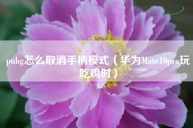 pubg怎么取消手柄模式（华为Mate10pro玩吃鸡时）