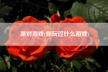 派对游戏(你玩过什么游戏)