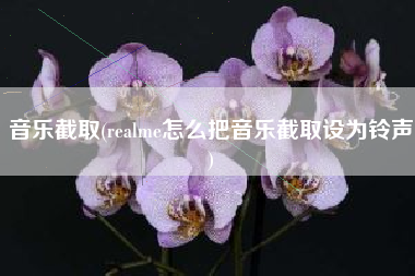 音乐截取(realme怎么把音乐截取设为铃声)