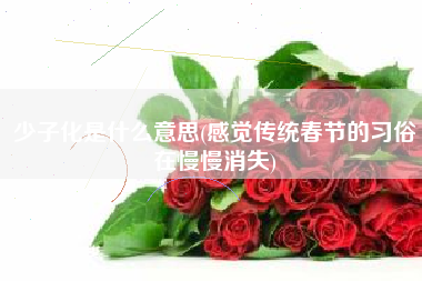 少子化是什么意思(感觉传统春节的习俗在慢慢消失)