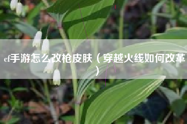 cf手游怎么改枪皮肤（穿越火线如何改革）